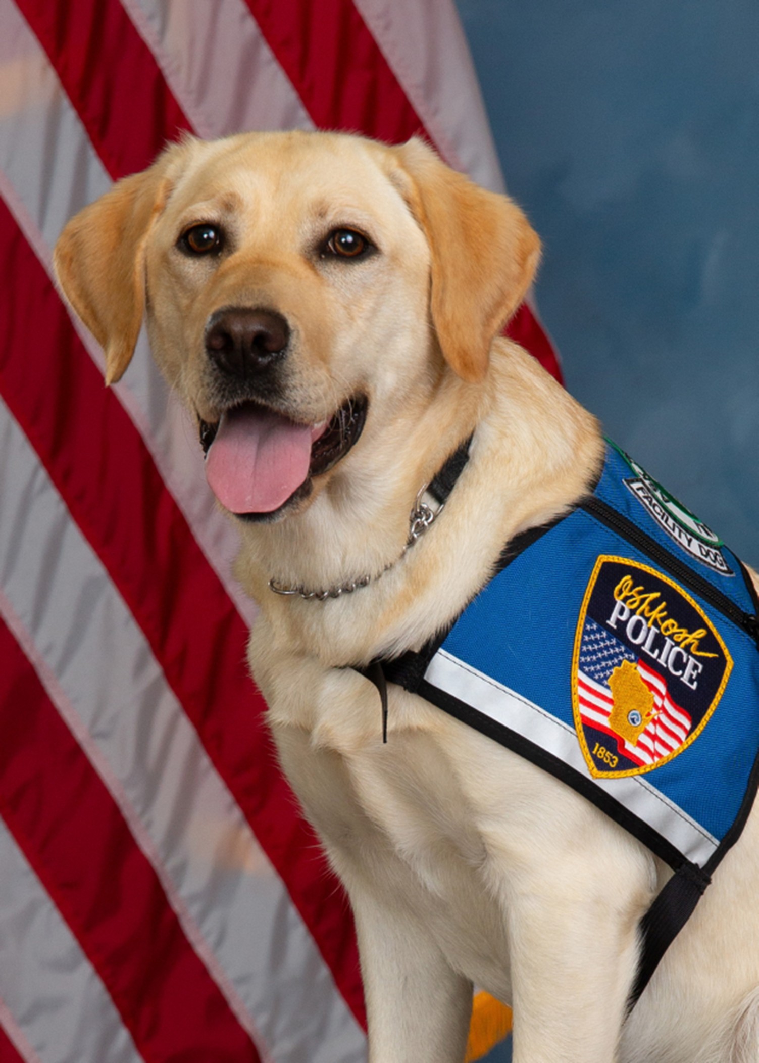 K9 Odin in front of flag